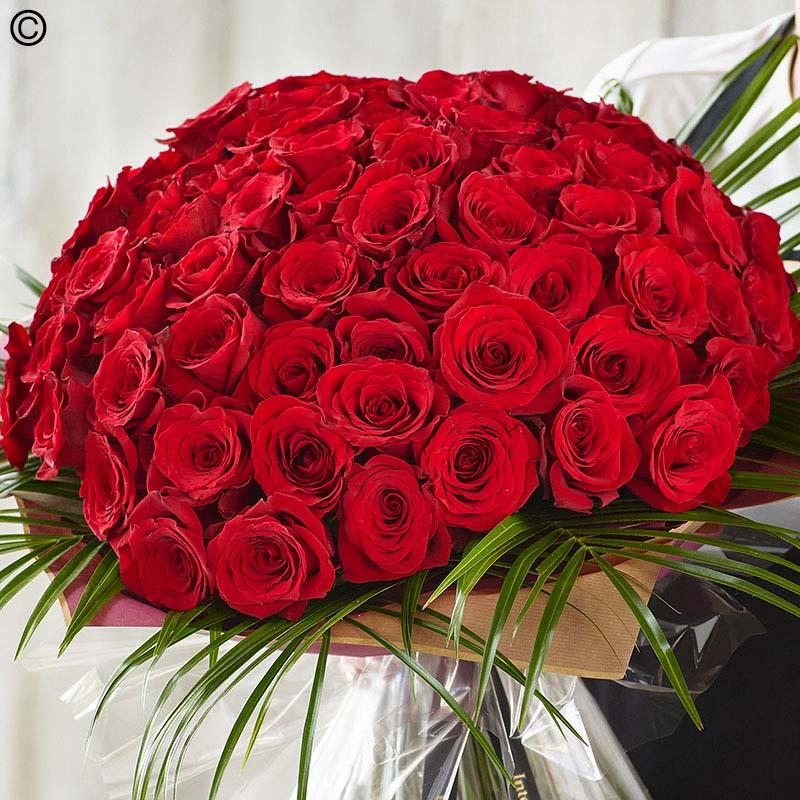 100  Red Rose Grand Gesture