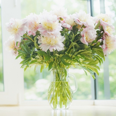 Subscription Flowers
