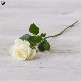 Funeral Finishing Touches
